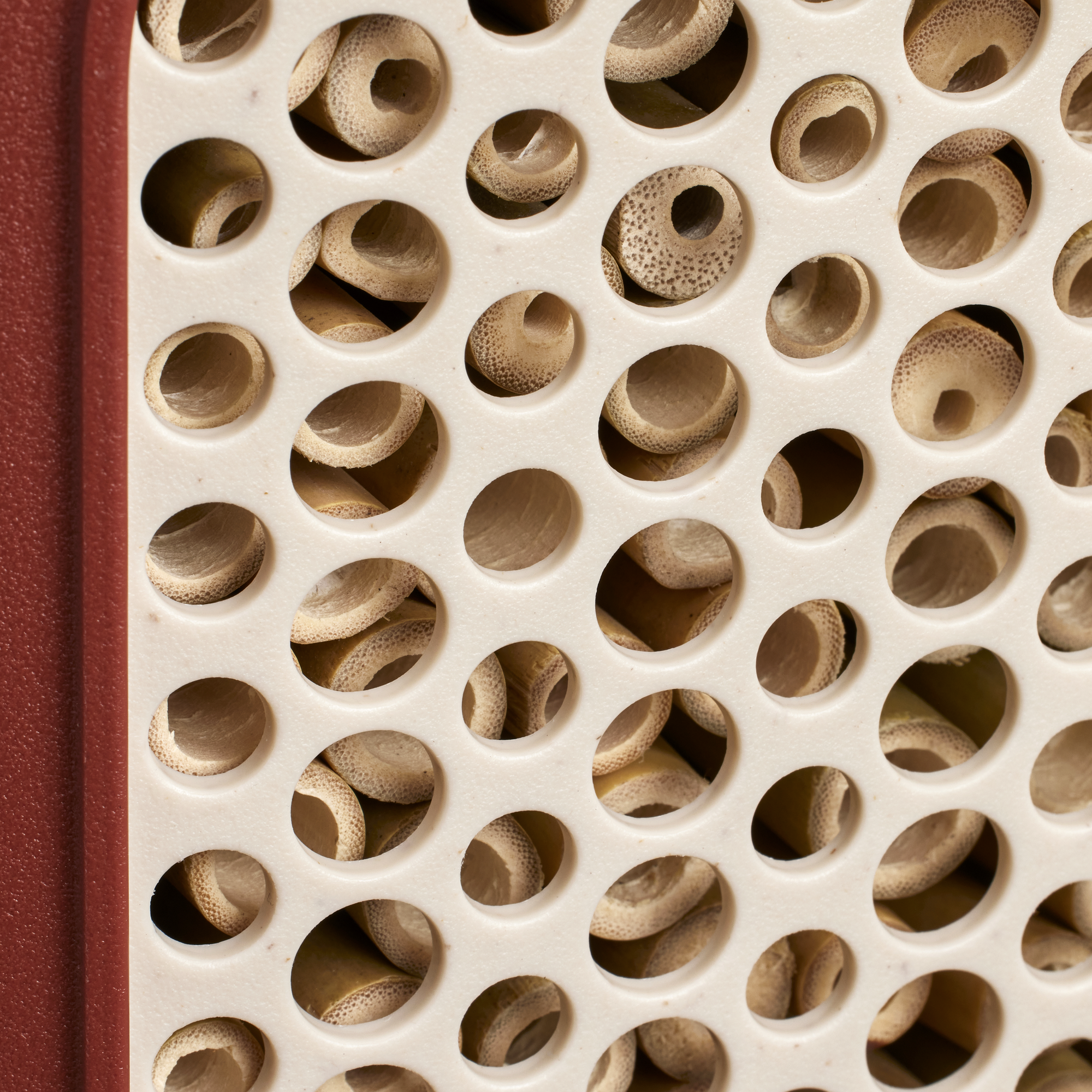 Insektenhotel "Cosy"