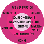 Edelrose Gräfin Diana | Rosengarten der Insel Mainau