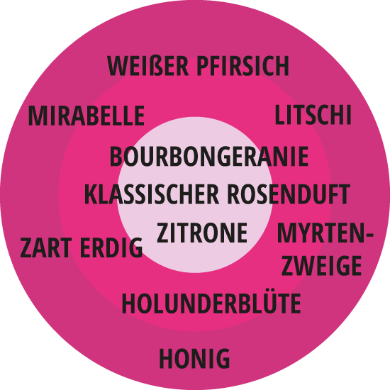 Edelrose Gräfin Diana | Rosengarten der Insel Mainau