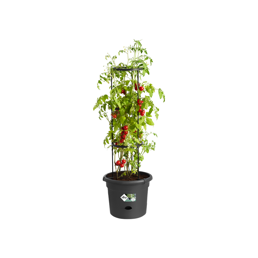 Tomatentopf "Green Basic"