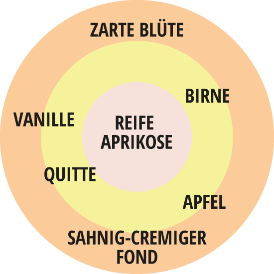 Beetrose Märchenzauber