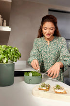 Topf "Magic Microgreens "