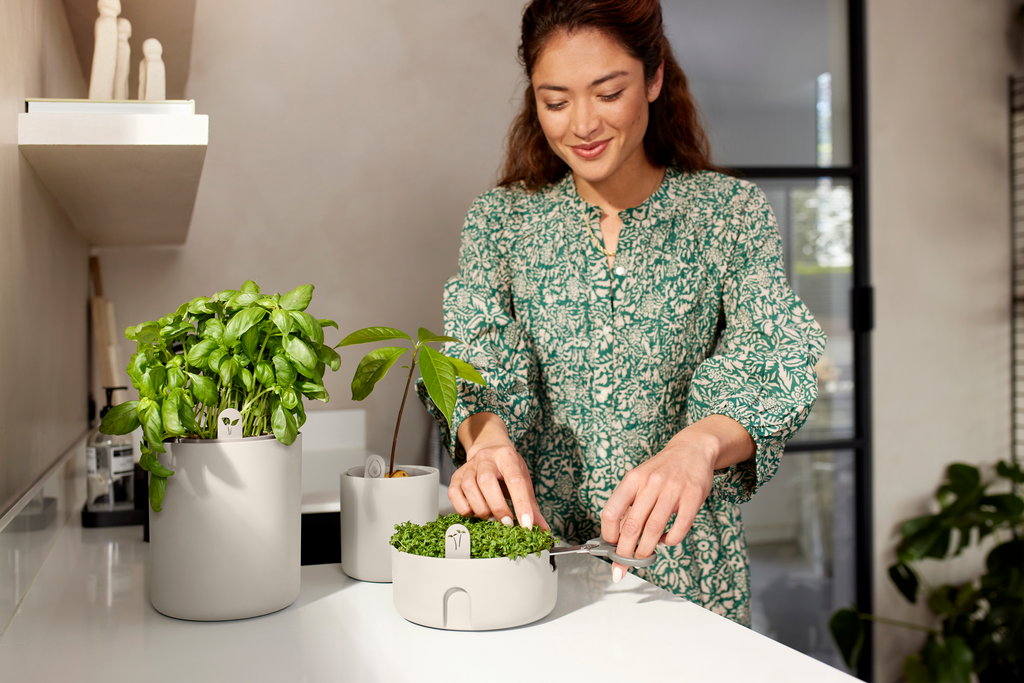 Topf "Magic Microgreens "
