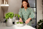 Topf "Magic Microgreens "