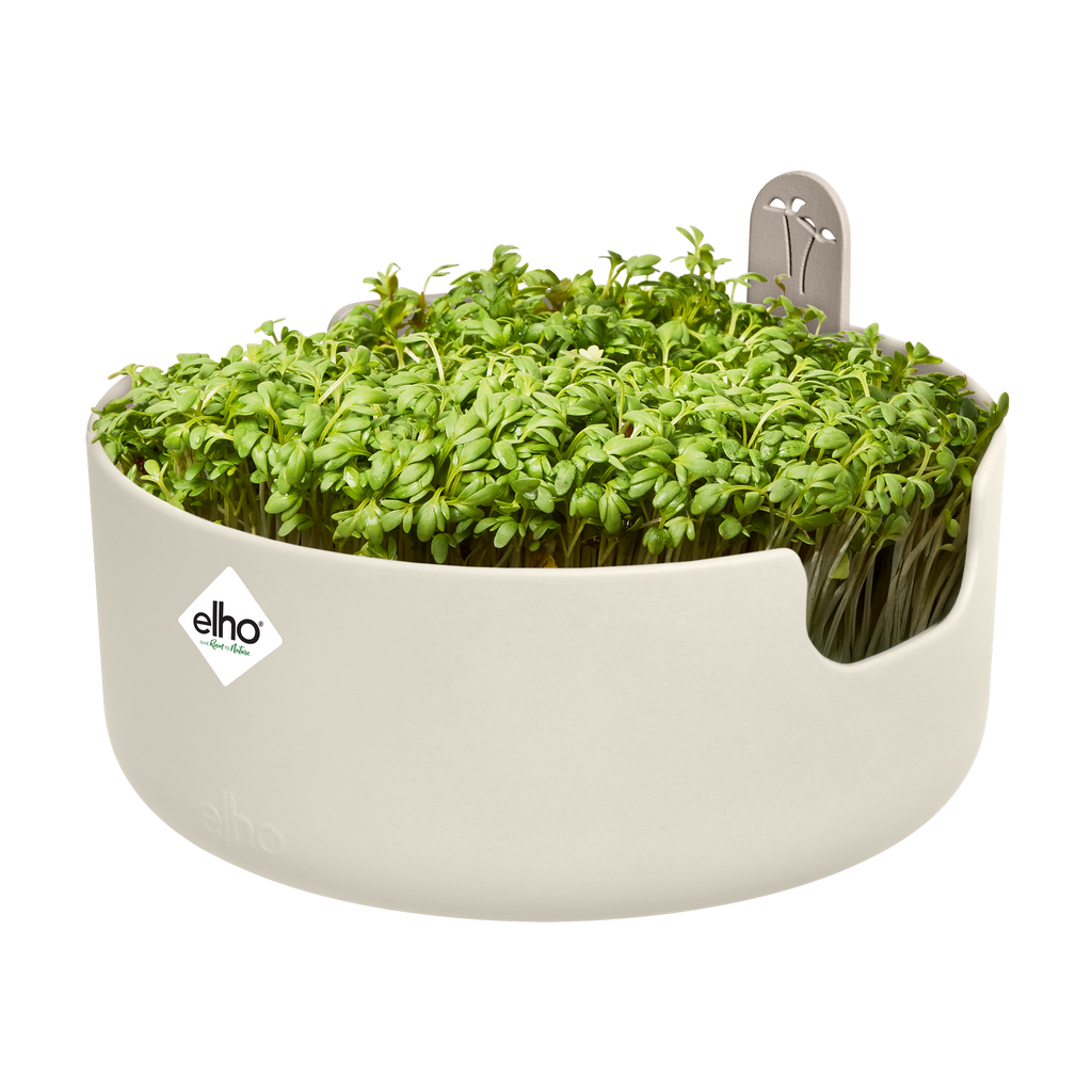 Topf "Magic Microgreens "