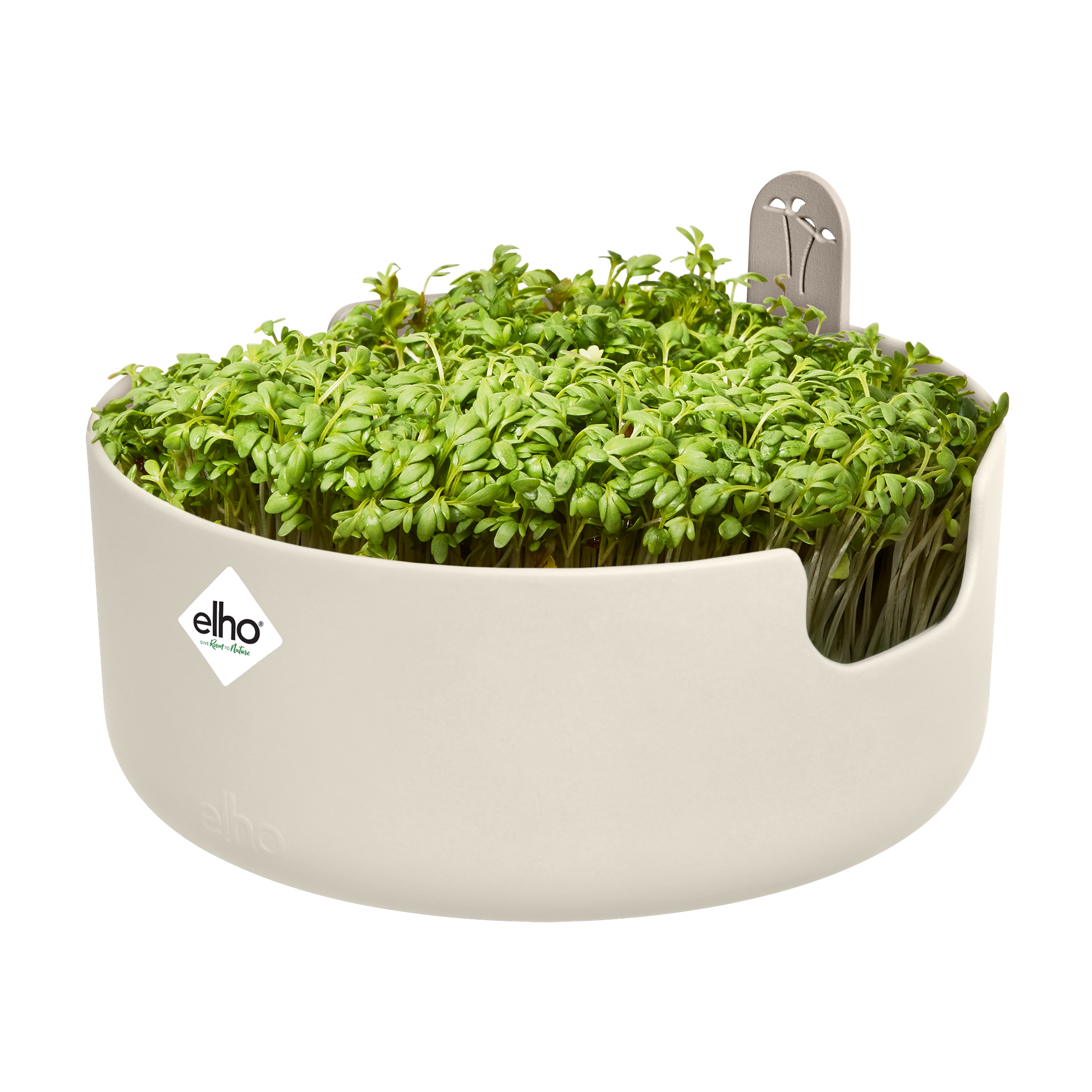 Topf "Magic Microgreens "
