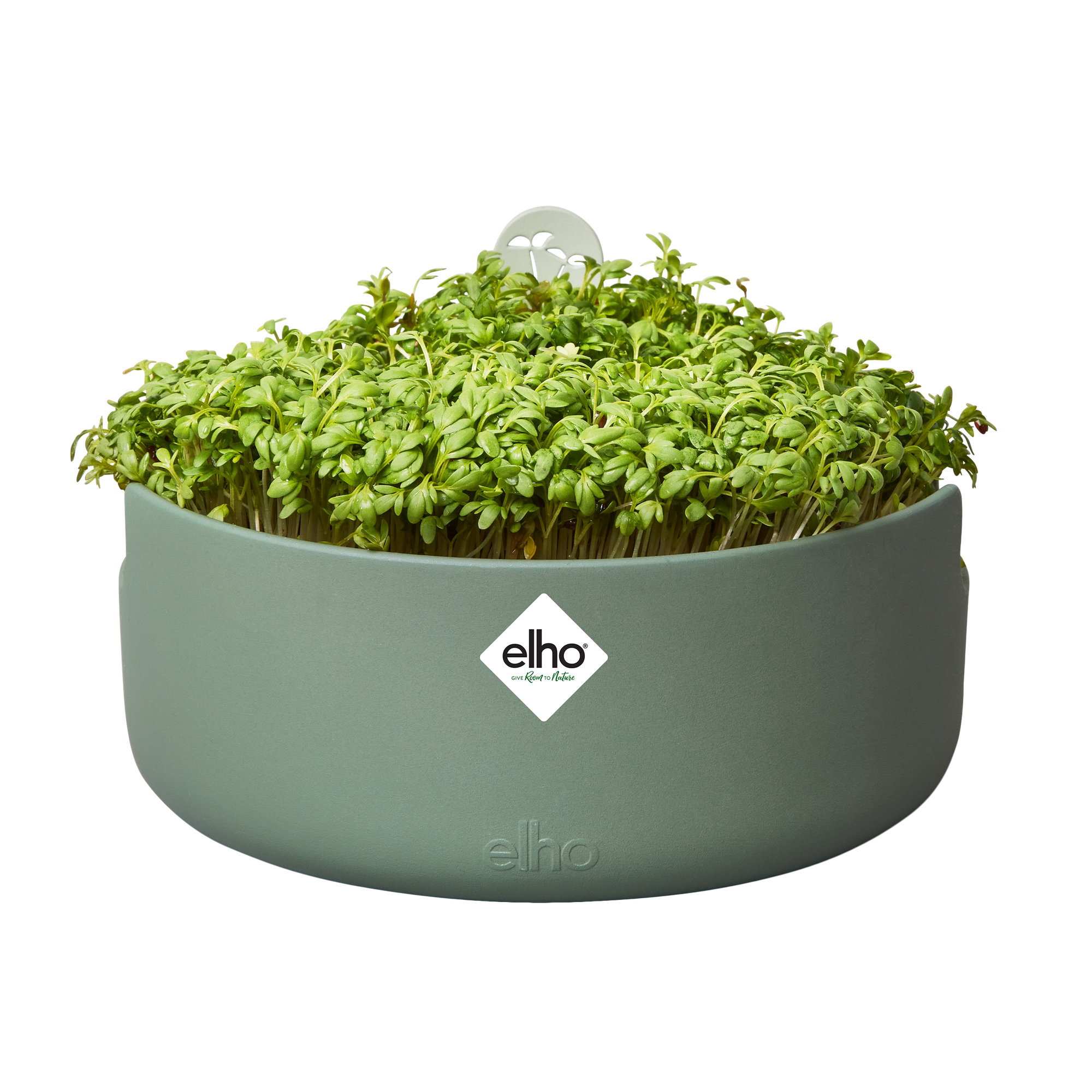 Topf "Magic Microgreens "