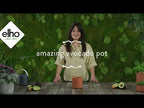 Topf "Amazing Avocado Pot"