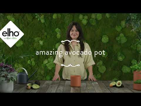 Topf "Amazing Avocado Pot"