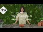 Topf "Magic Microgreens "