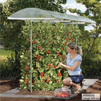Tomaten- und Pflanzenschutzdach