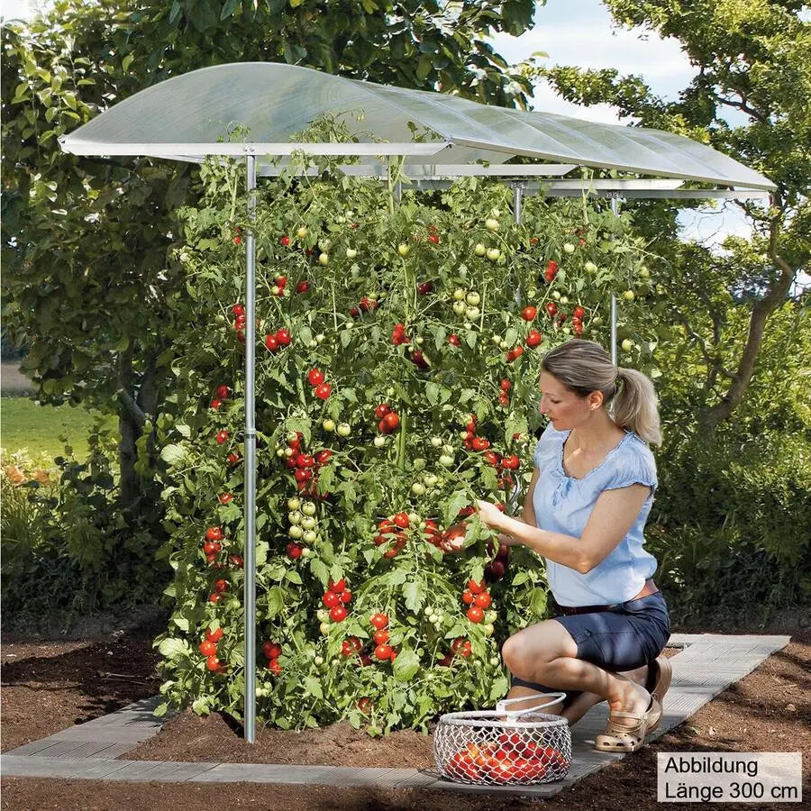 Tomaten- und Pflanzenschutzdach