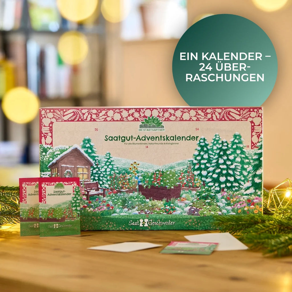 Saatgut-Adventskalender mit 24 Überraschungen