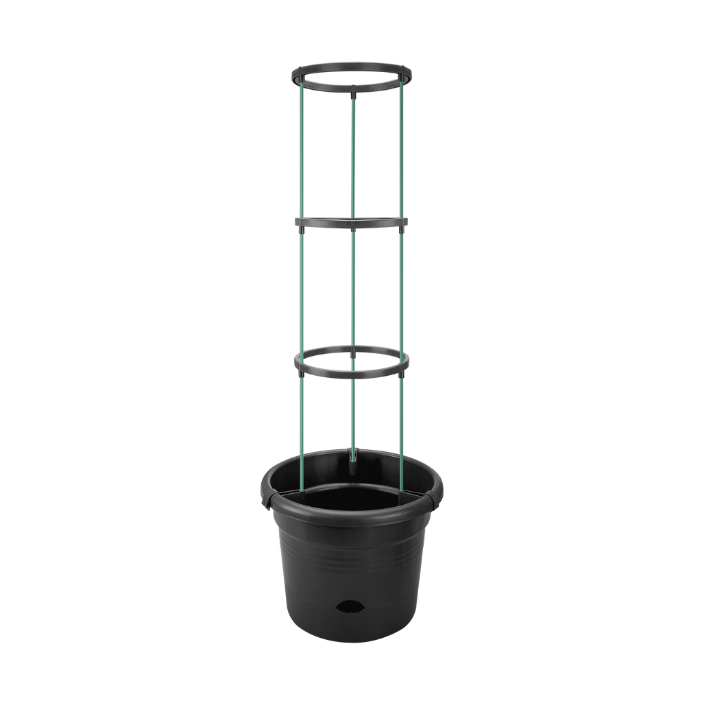 Tomatentopf "Green Basic"