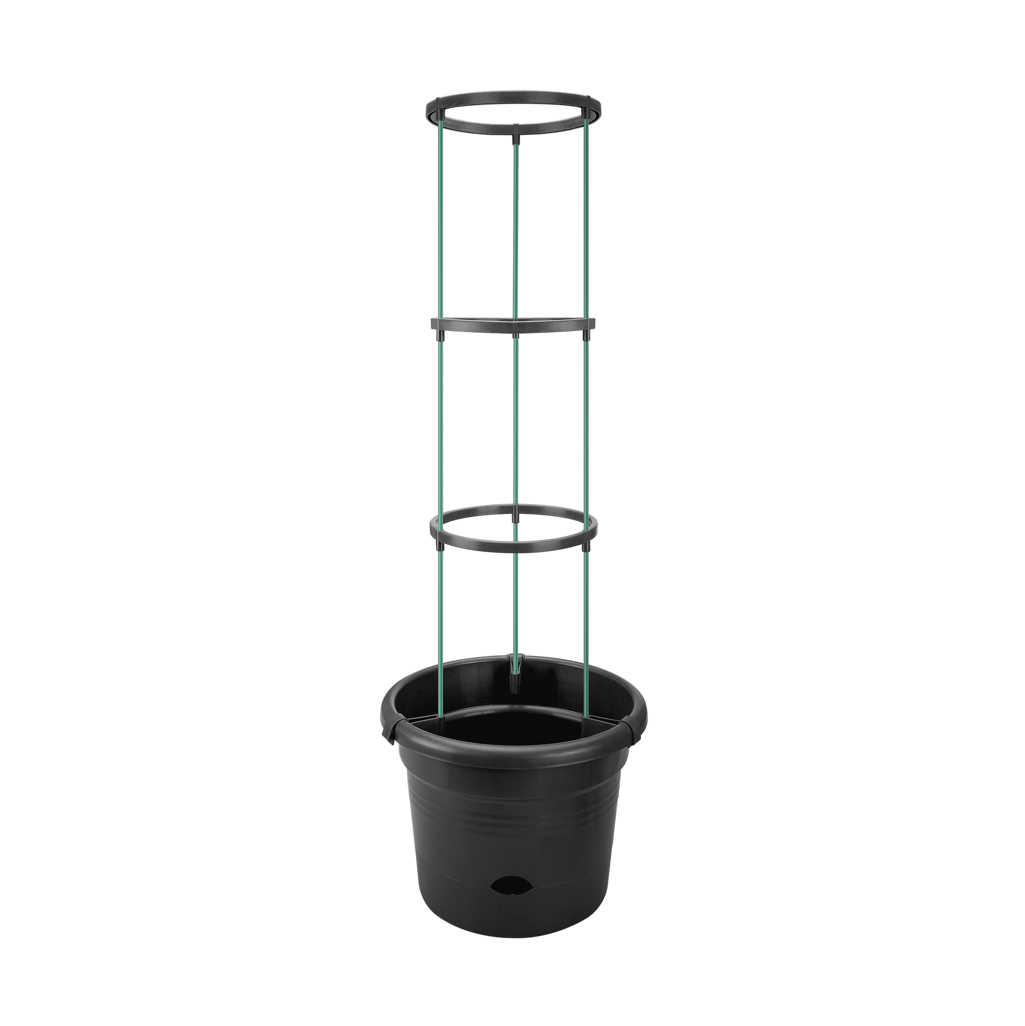 Tomatentopf "Green Basic"