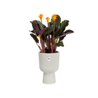 Topf Geschenkset "Vibes Fold"