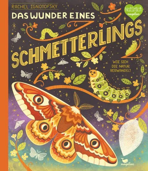 Das Wunder eines Schmetterlings - Wie sich die Natur verwandelt Das Wunder eines Schmetterlings - Wie sich die Natur verwandelt