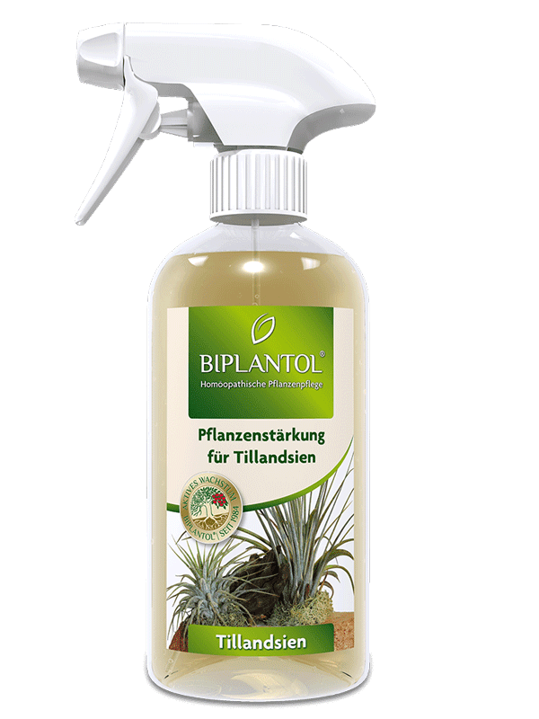 Tillandsien-Pflege, Spray, 500 ml