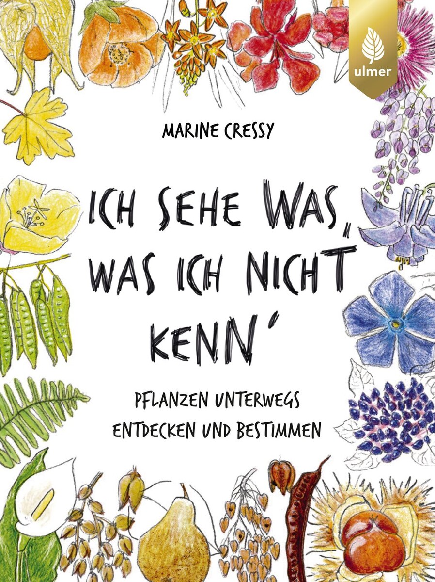 Ich sehe was, was ich nicht kenn´ (Sachbuch)