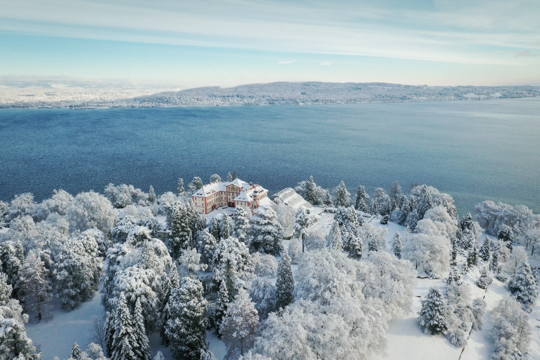 Insel Mainau im Winter