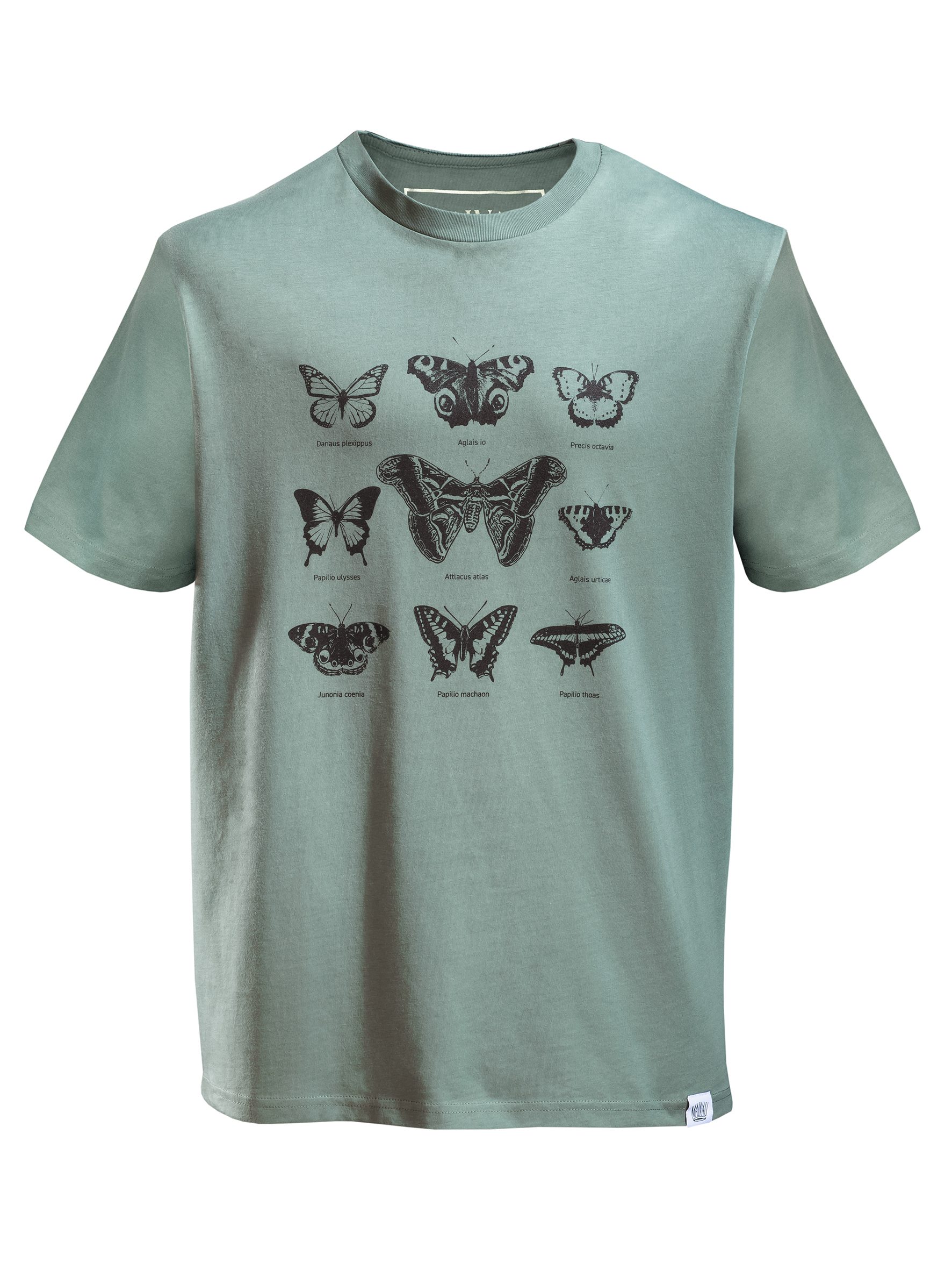 T-Shirt Schmetterlinge T-Shirt Schmetterlinge