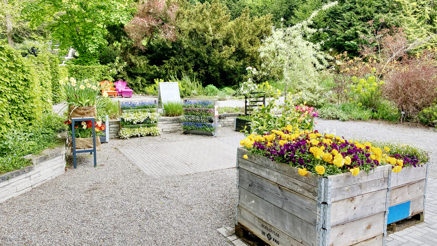 Platanenweg 5 auf der Insel Mainau